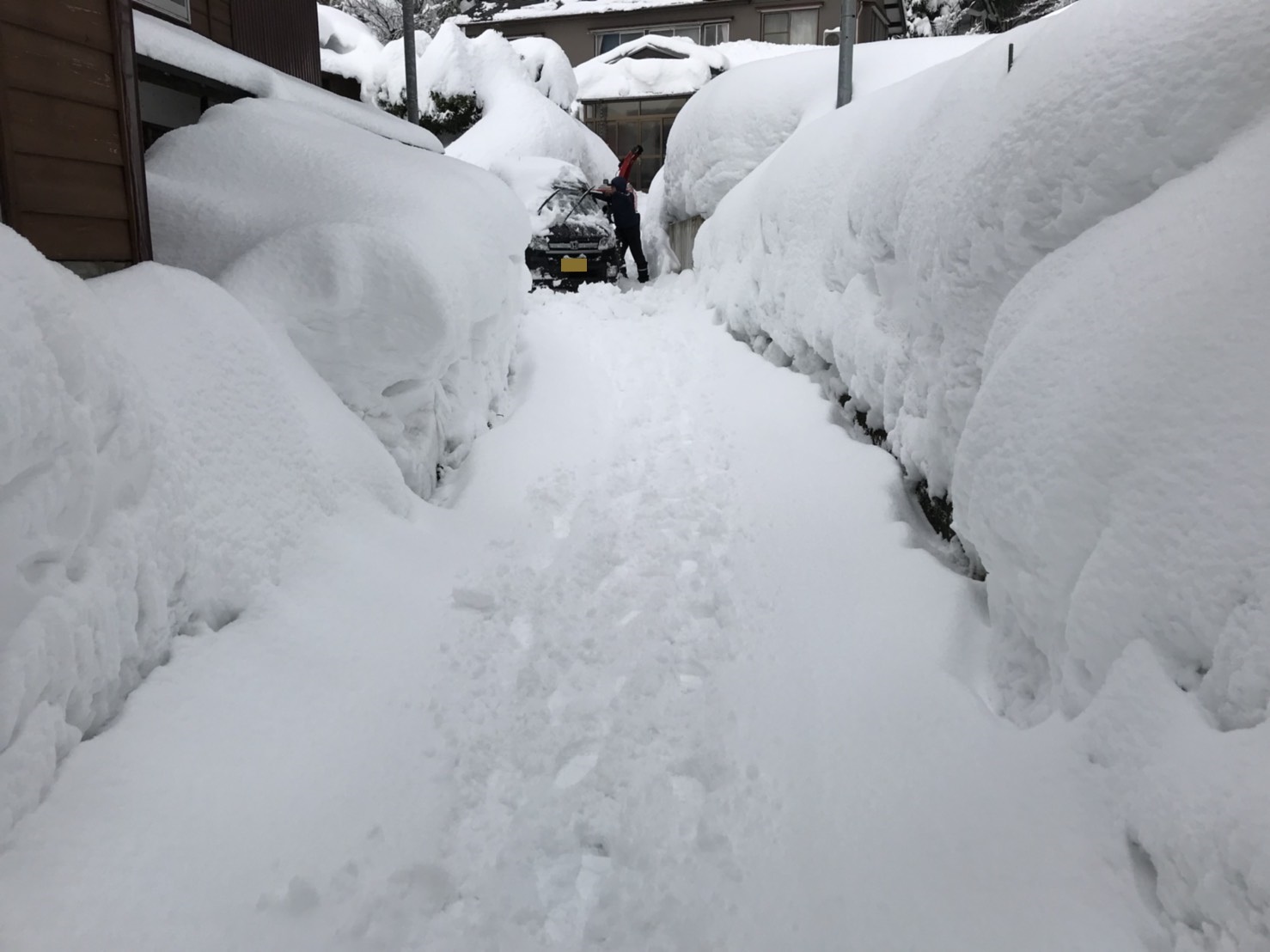 第１９５８回：雪下ろしは続きます