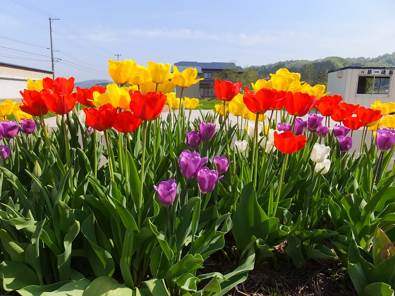 ゴールデンウイーク休業のお知らせ