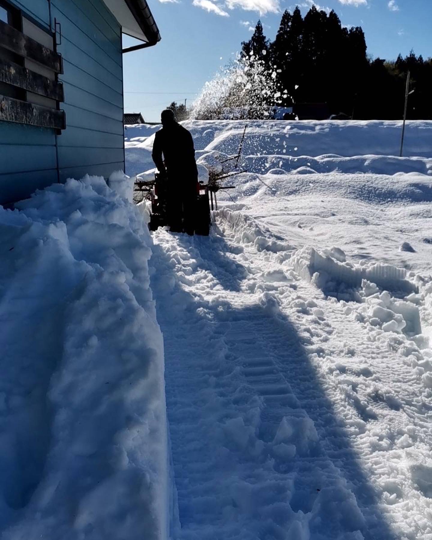 第３１７２回：倒木撤去・除雪作業開始