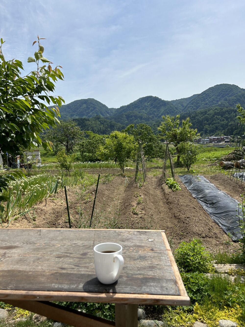 第３７５９回：『八石山を眺める平屋』お宅訪問～豊かな秋の収穫祭～